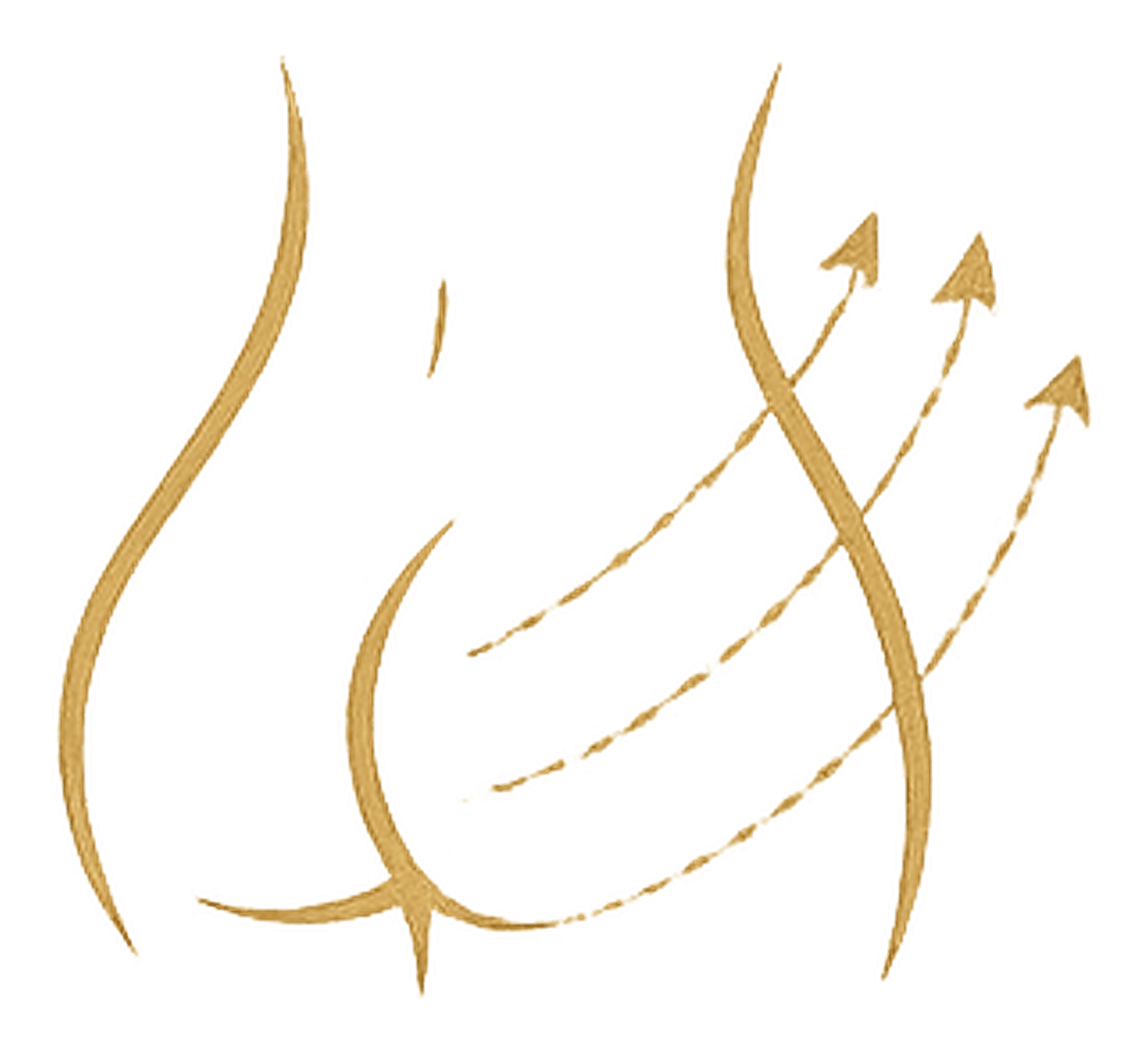Aesthetic Icon